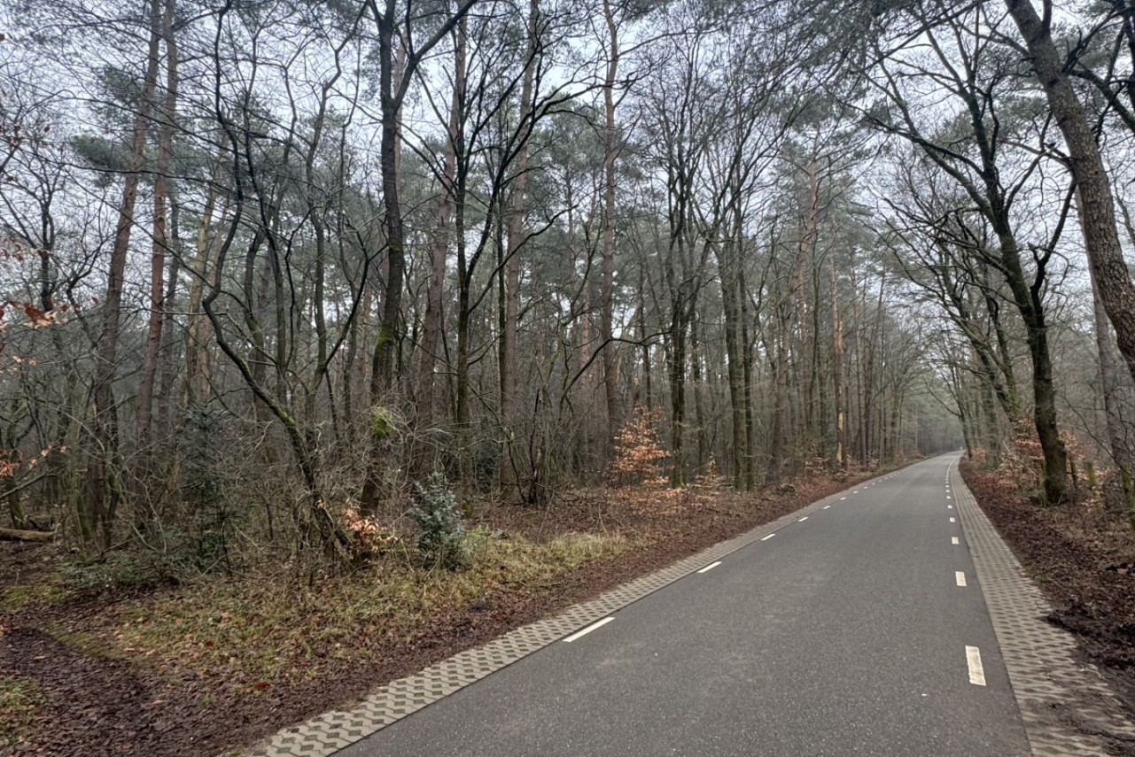 Bosgrond Bovenste- dwarsweg Oldebroek - 1.900 m² Verkocht