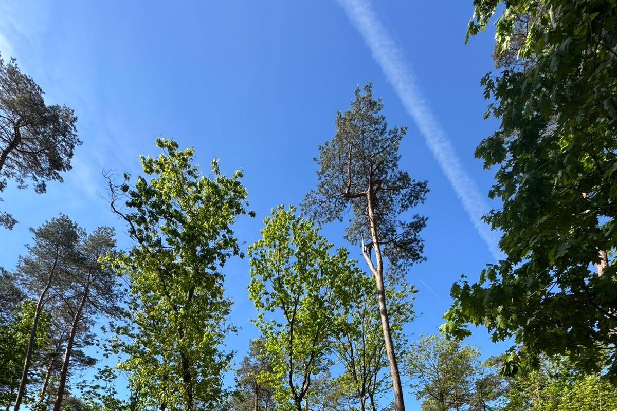 Zonnegloren Beekbergen - 10.231 m² Verkocht