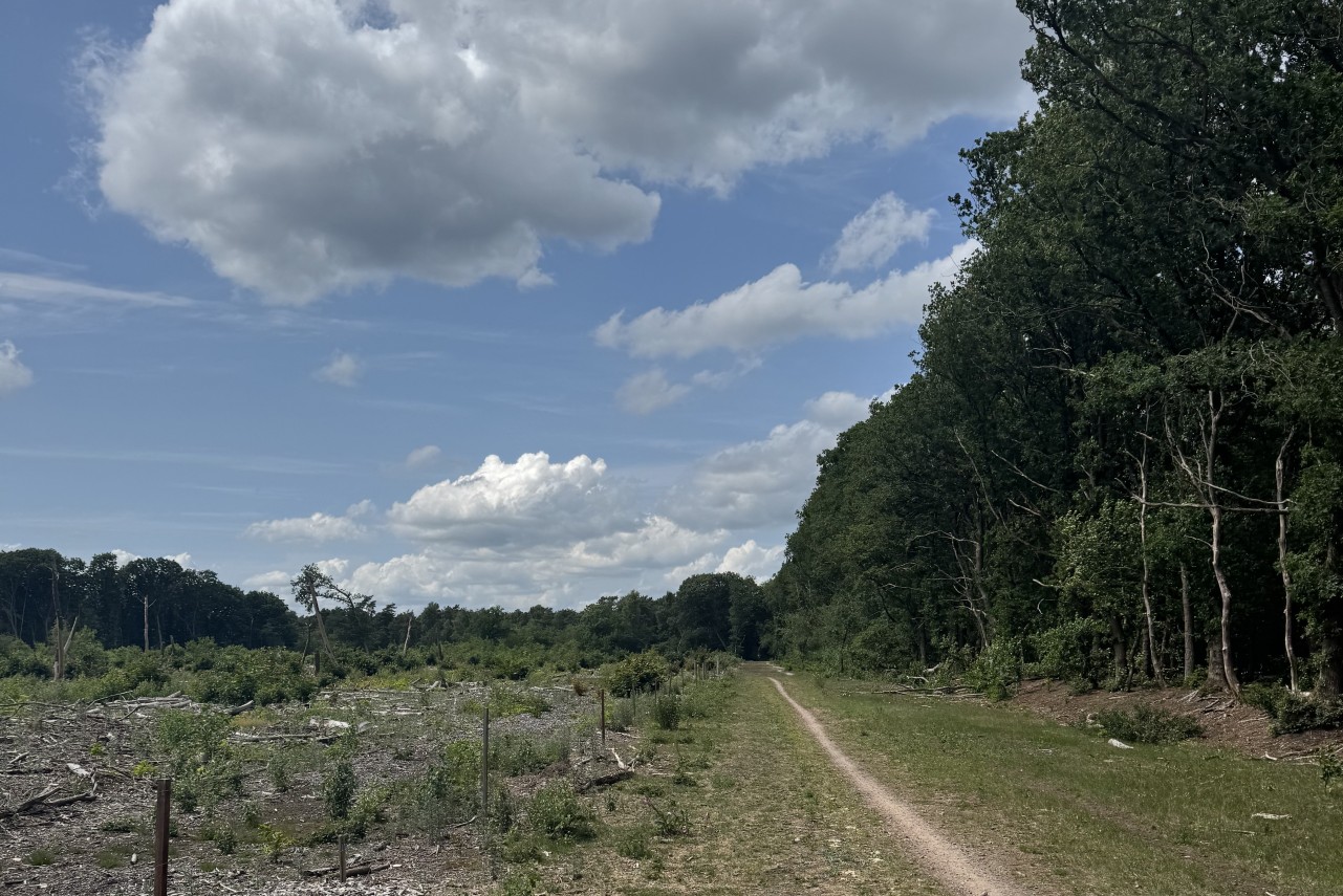 Voskampweg Shaijk - 42.520 m² Te koop