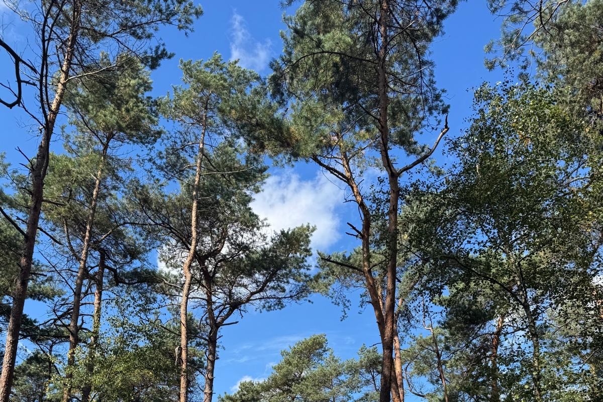 Schalterdalweg Beekbergen - 28.330 m² Verkocht