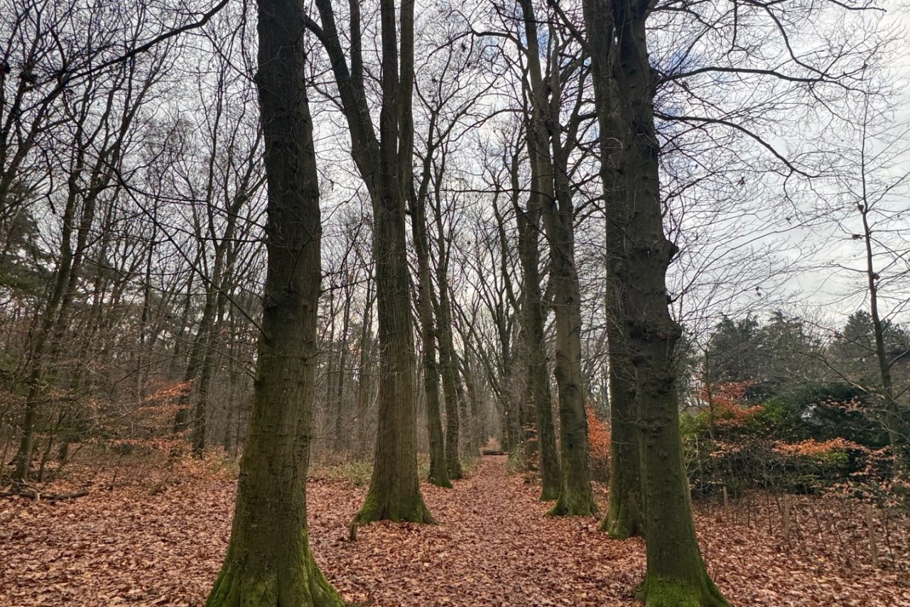 Zassenkamp Bennekom - 30.870 m&sup2; Verkocht