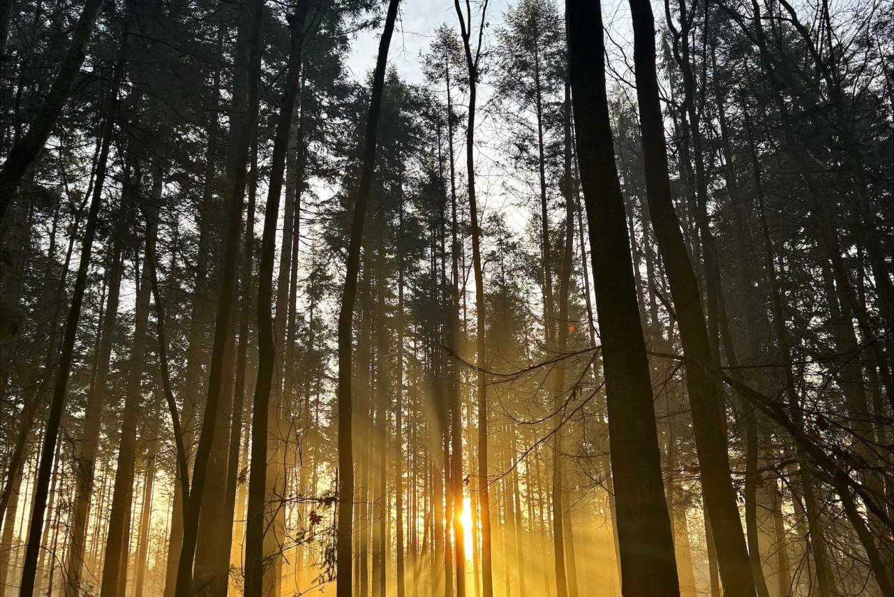 Berg en Dalweg  Beekbergen - 10.868 m&sup2; Verkocht