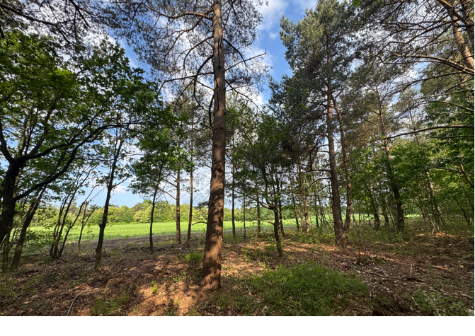 Krimweg Hoenderloo - 15.000 m&sup2; Te koop