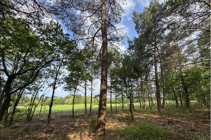 Krimweg Hoenderloo - 15.000 m&sup2; Verkocht