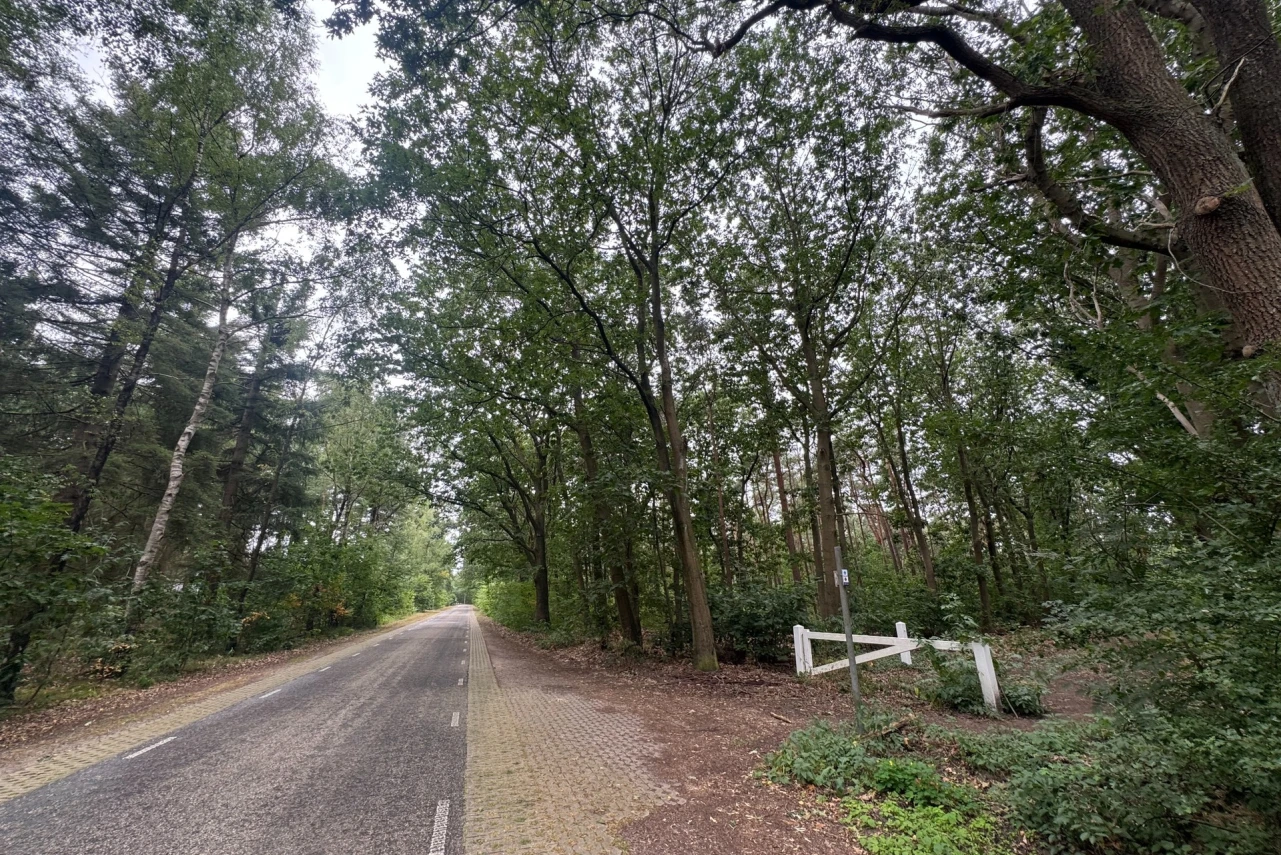 Hanesteenseweg  Hattemerbroek - 10.054 m&sup2; Te koop